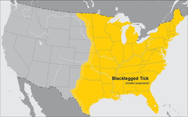 Map courtesy of: https://www.cdc.gov/ticks/geographic_distribution.html