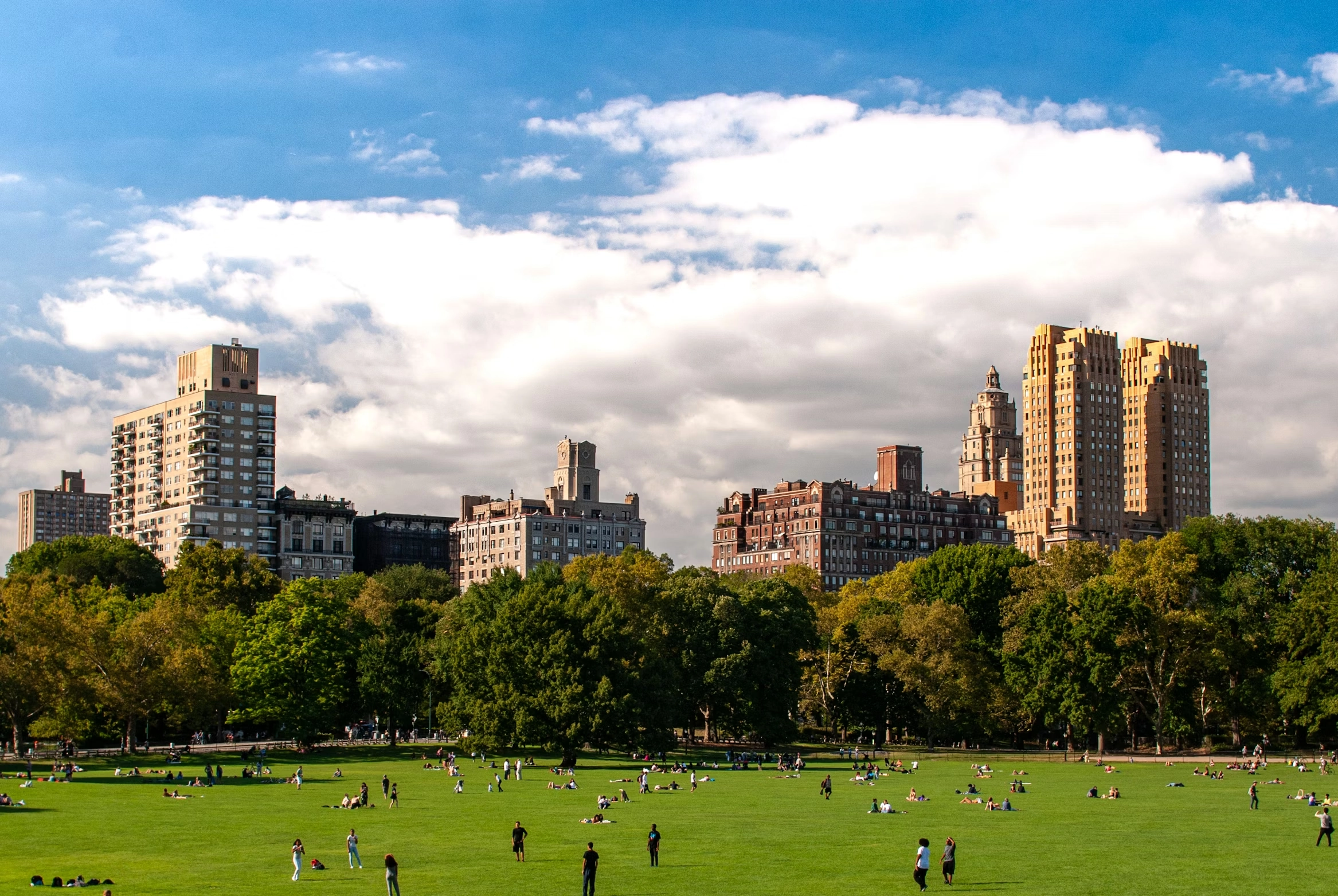 city skyline in view of park